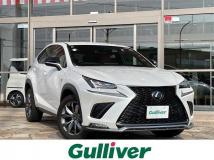 2021 Lexus NX