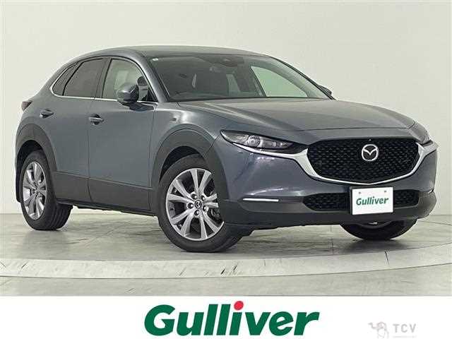 2021 Mazda CX-3