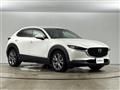2019 Mazda CX-3