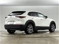 2019 Mazda CX-3