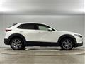 2019 Mazda CX-3