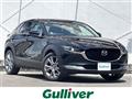 2021 Mazda CX-3