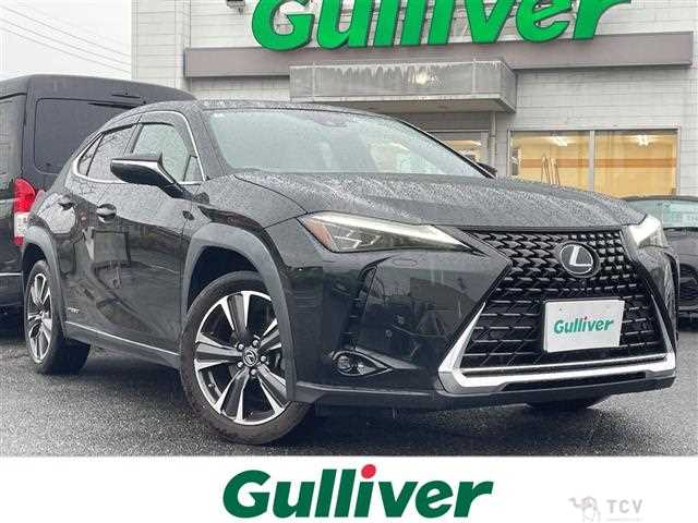 2019 Lexus UX