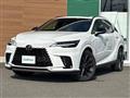 2025 Lexus RX