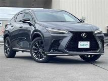 2024 Lexus NX