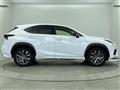 2019 Lexus NX