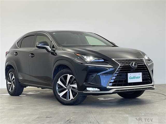 2021 Lexus NX