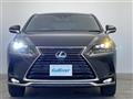 2021 Lexus NX