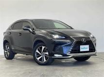 2021 Lexus NX