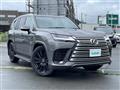 2025 Lexus LX