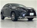 2019 Lexus NX
