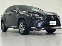 2019 Lexus NX