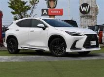 2022 Lexus NX