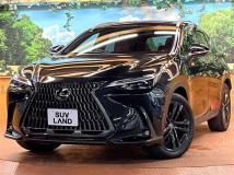 2023 Lexus NX