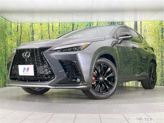2024 Lexus NX