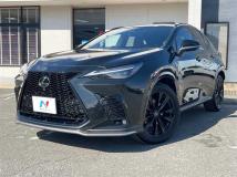 2025 Lexus NX