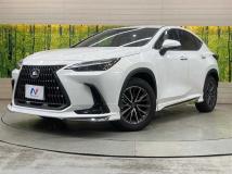2025 Lexus NX