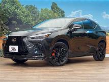 2022 Lexus NX