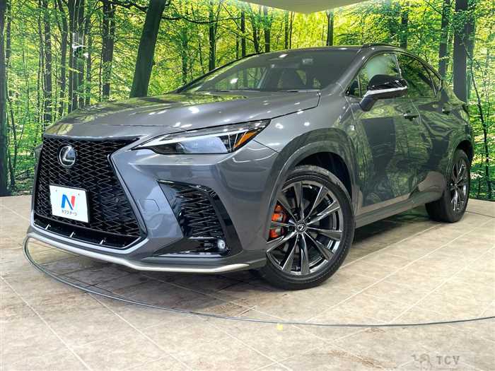 2023 Lexus NX