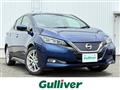 2017 Nissan Leaf