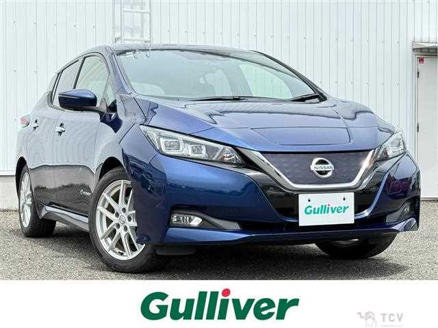 2017 Nissan Leaf