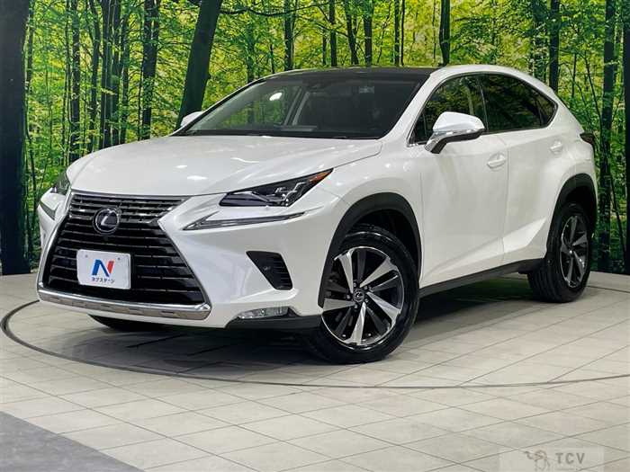 2018 Lexus NX