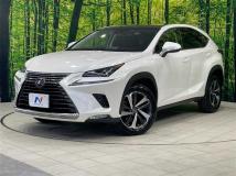 2018 Lexus NX