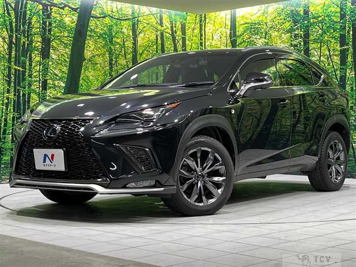 2017 Lexus NX