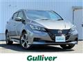 2022 Nissan Leaf