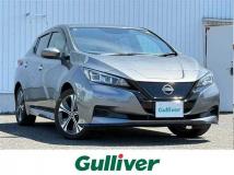 2022 Nissan Leaf