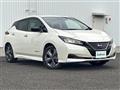 2021 Nissan Leaf
