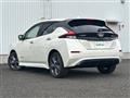 2021 Nissan Leaf