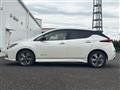 2021 Nissan Leaf