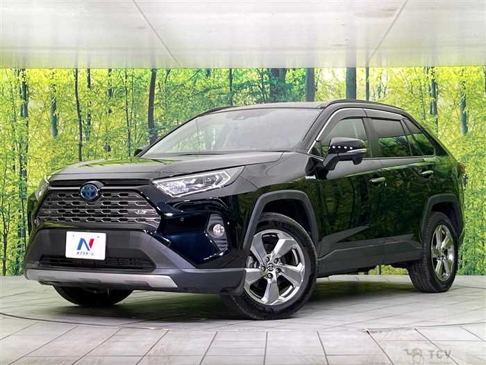 2019 Toyota RAV4