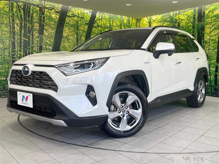 2019 Toyota RAV4