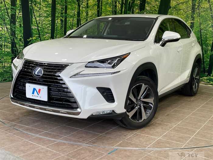 2019 Lexus NX