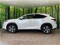 2019 Lexus NX