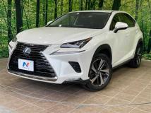2019 Lexus NX