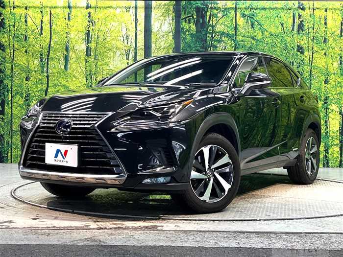 2019 Lexus NX