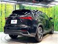 2019 Lexus NX