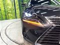 2019 Lexus NX