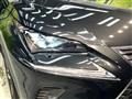 2019 Lexus NX