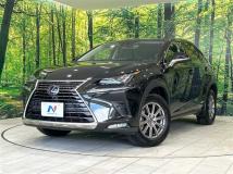 2019 Lexus NX
