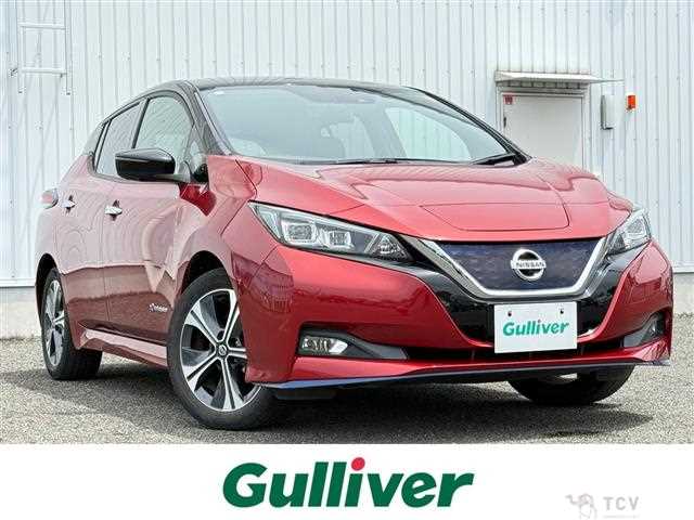2019 Nissan Leaf