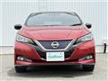 2019 Nissan Leaf
