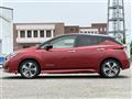 2019 Nissan Leaf