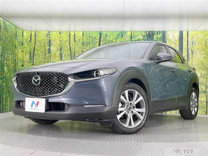 2022 Mazda Mazda Others