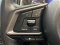 2017 Subaru Subaru Others
