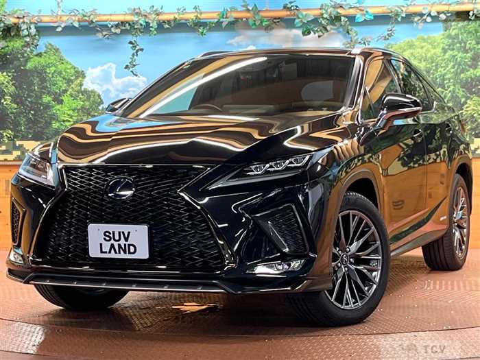 2020 Lexus RX