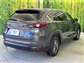 2019 Mazda CX-8